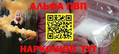 тгк Кингисепп