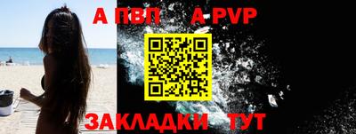 тгк Кингисепп