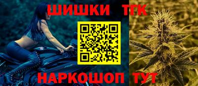 тгк Кингисепп