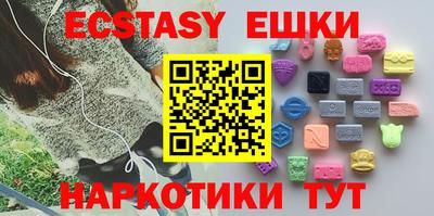 тгк Кингисепп