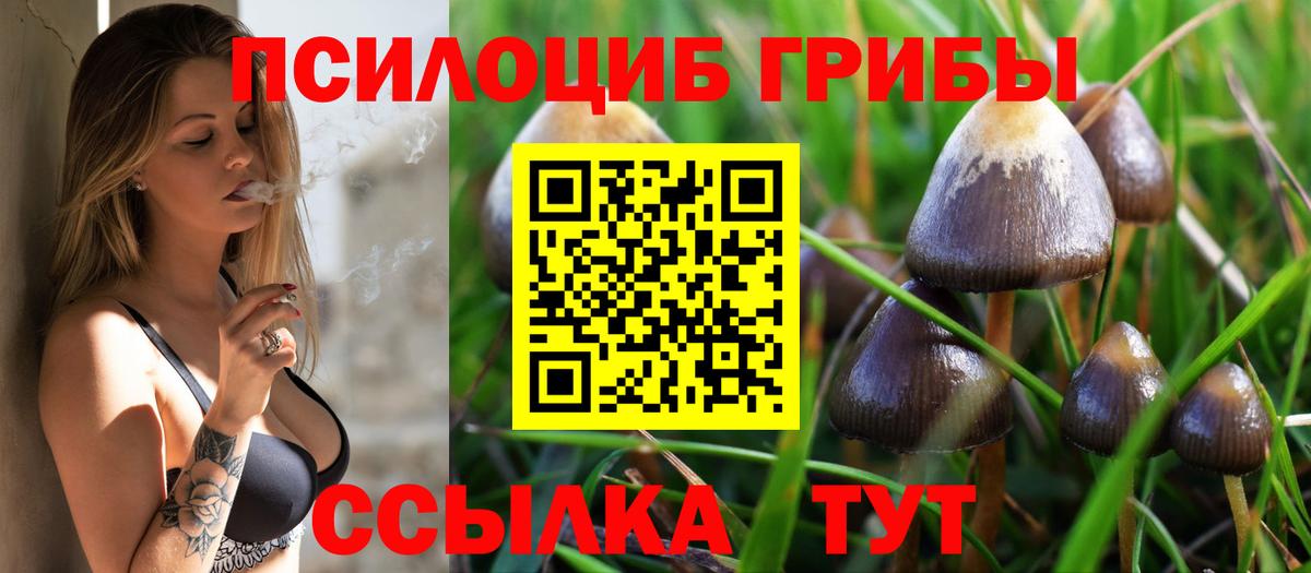 Котовск  Галлюциногенные грибы Psilocybine cubensis  Вход с VPN 